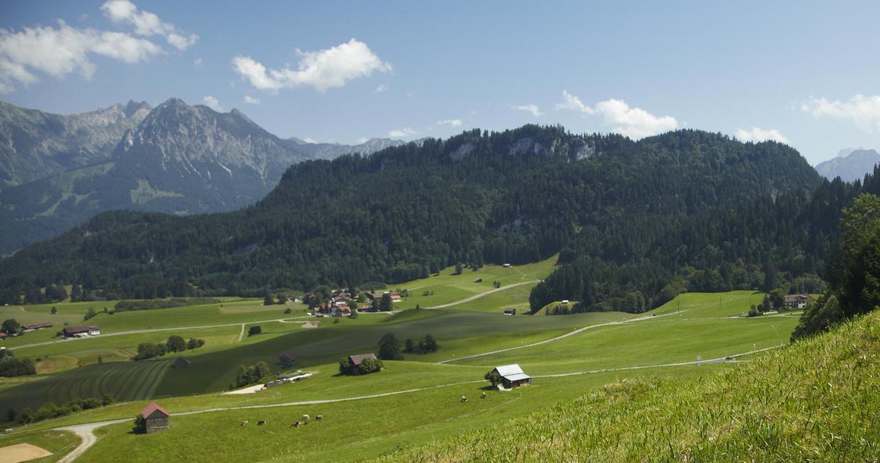 Auszeit Apartment Obermaiselstein Bagian luar foto