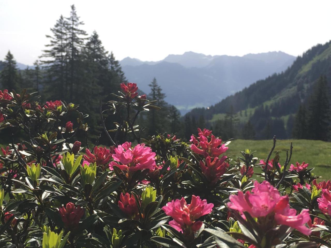 Auszeit Apartment Obermaiselstein Bagian luar foto
